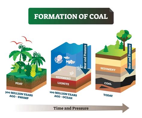 where was coal first formed.